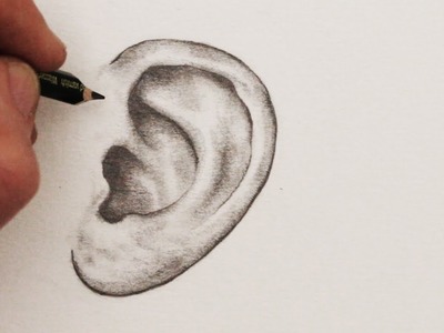 How to Draw Ears: Step by Step