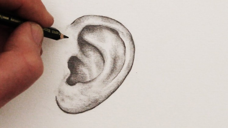 How to Draw Ears: Step by Step