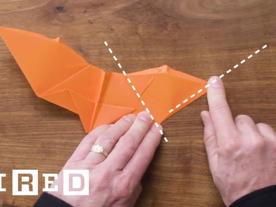 How to Fold Five Incredible Paper Airplanes | WIRED