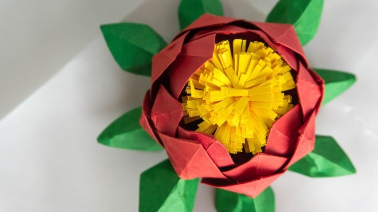 Making Paper Flowers: 5-Minute Crafts Idea by iDIYa