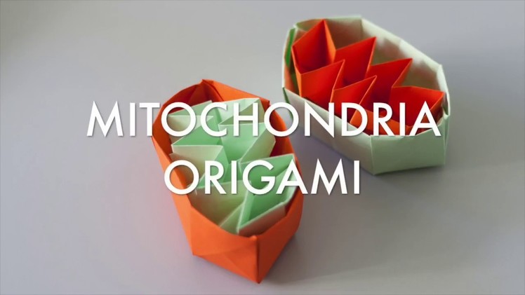 Mitorigami - How to make mitochondria origami (Tutorial)