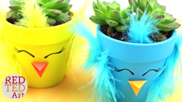 Spring Chick DIY Planter - How to make a Succulent Planter - DIY Spring Decor & Gift Idea