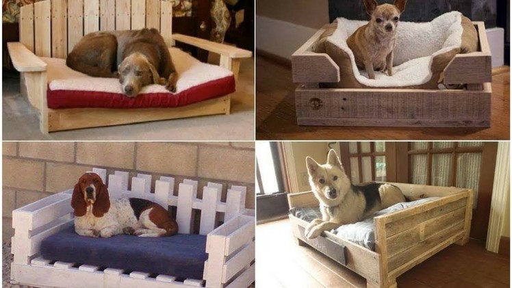 Fabulous Diy Pet Bed Ideas   Inspirational DIY Ideas for Pet Beds