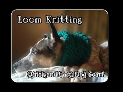DIY Easy Knifty Knitter Round Loom Knit a Dog Sweater Scarf- How to Make the Spuddy Dog Scarf