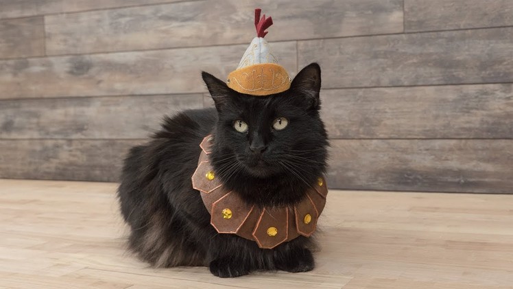 How to Sew a Roman Soldier Pet Costume