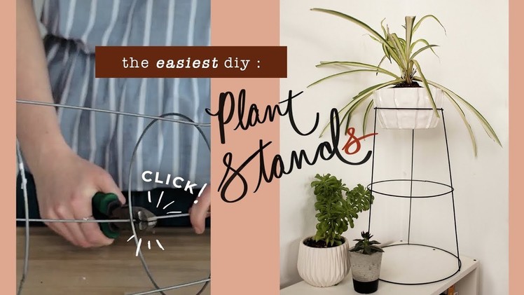 GIVE YOUR PLANTS A NEW HOME!