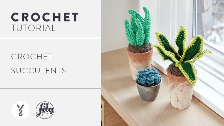 How to Crochet Succulents