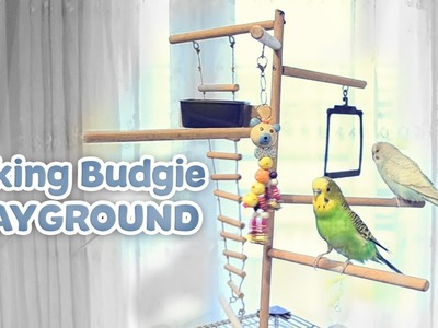 Making Budgie Playground