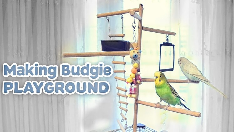 Making Budgie Playground