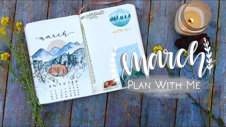 PLAN WITH ME | March 2018 | w. MyLifeinaBullet, ChristineMyLinh, and Nicole's Journal