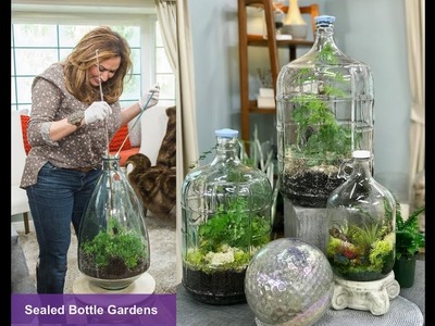 SEALED BOTTLE GARDENS: Step by Step