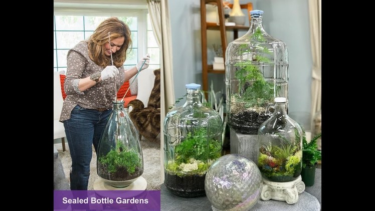 SEALED BOTTLE GARDENS: Step by Step