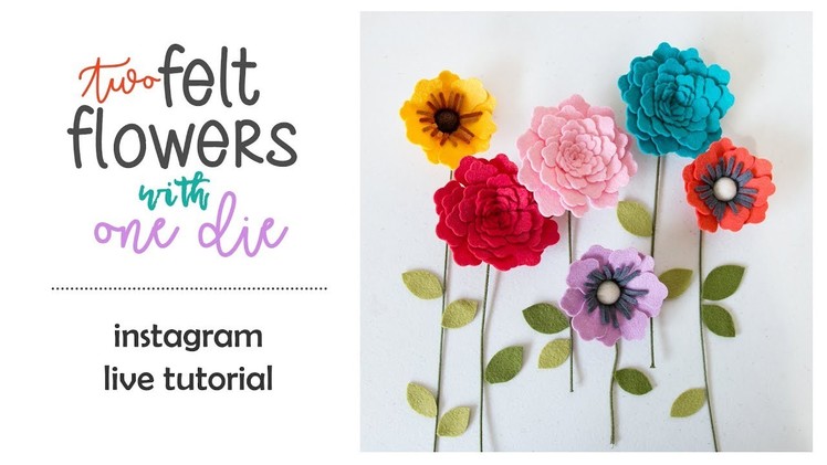 Two Felt Flowers with ONE die - Instagram Live