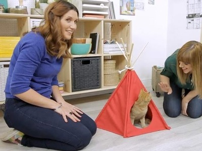 Pin It or Bin It: How to make a cat teepee
