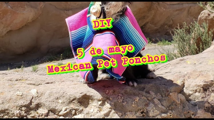 DIY 5 De Mayo pet ponchos