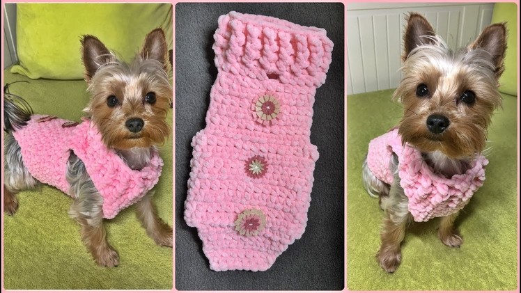 How to crochet a small dog sweater XS (2,2kg) - Step by step for beginners