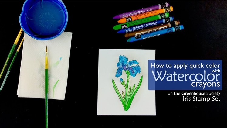 How to Apply Quick Color with Watercolor Crayons - Technique Video - Technique Tuesday