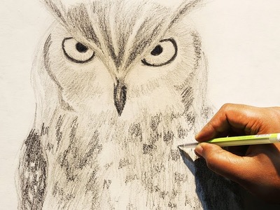 How To Draw An Owl Using Pencil | Owl Sketch Time Lapse | Realistic Owl Drawing Step By Step