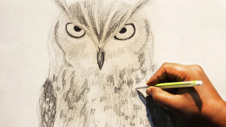 How To Draw An Owl Using Pencil | Owl Sketch Time Lapse | Realistic Owl Drawing Step By Step