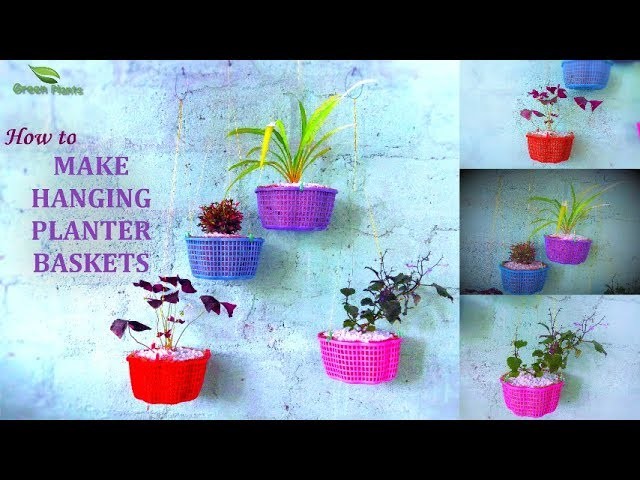 Make Hanging Planter | How to Grow Plants in Hanging Basket | Hanging Plants Ideas.GREEN PLANTS