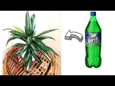 Diy artificial plant using plastic bottle || best home decor from plastic bottle || Diy craft