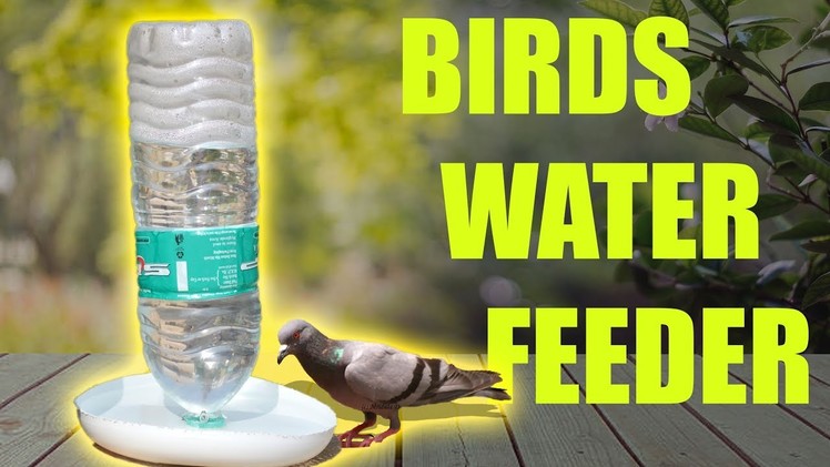How to make automatic birds water feeder home DIY