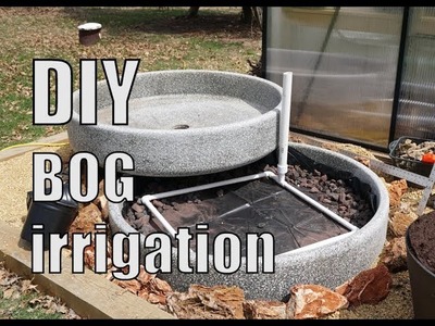 Building a DIY Bog Garden! Part 1