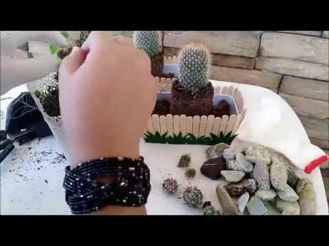 DIY Cactus Popsicle Stick Pot Ideas (Old Condiments Plate)