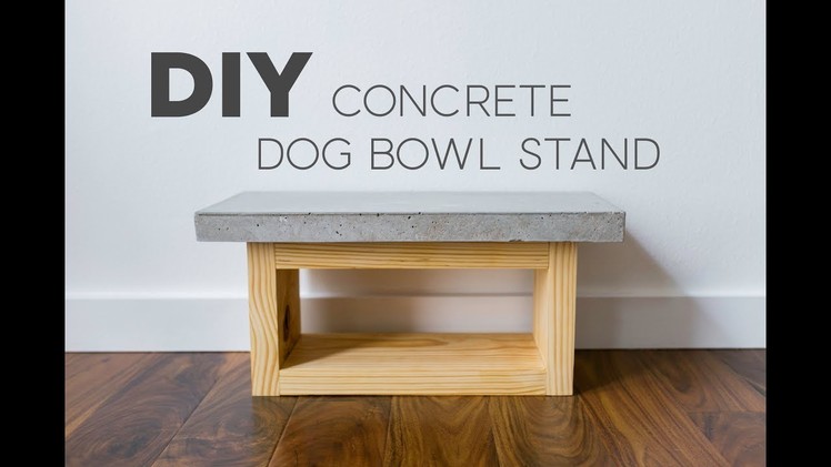 DIY Dog Bowl Stand | Concrete | Modern
