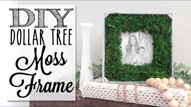 DIY Farmhouse Moss Picture Frame | Dollar Tree Craft