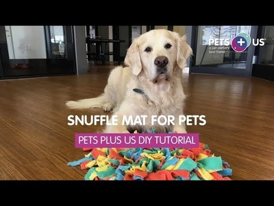 DIY Snuffle Mat for Pets