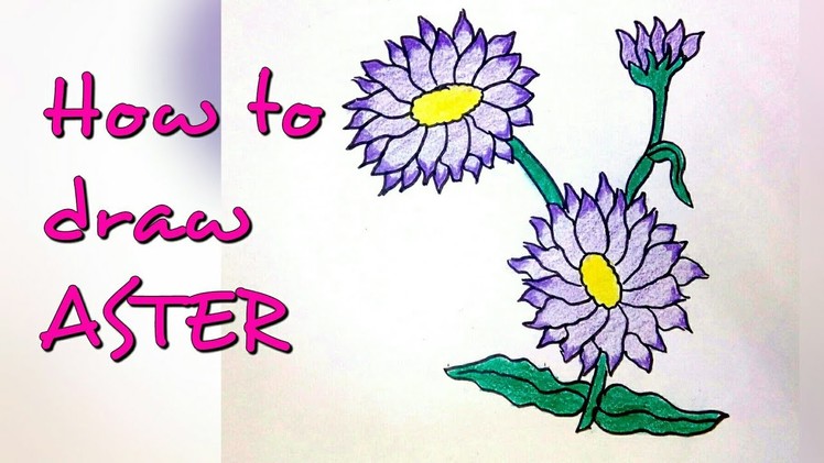Drawing tutorial : how to draw aster flower | step by step | easy drawing [creative ideas]