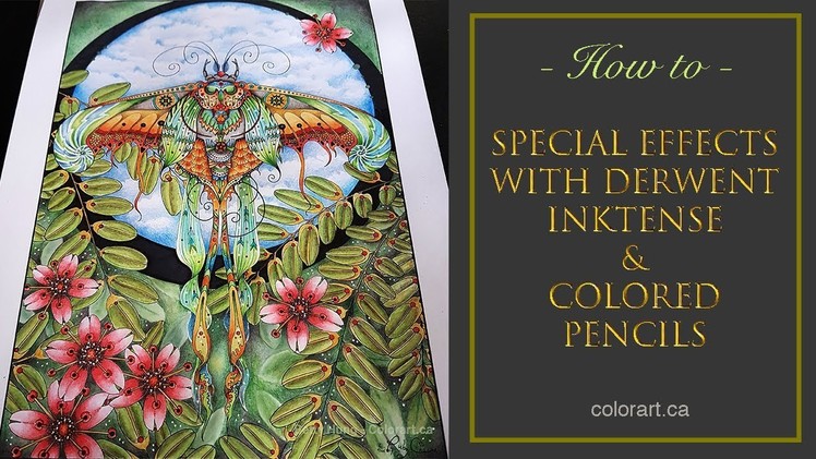 Creating special coloring effects with Derwent Inktense