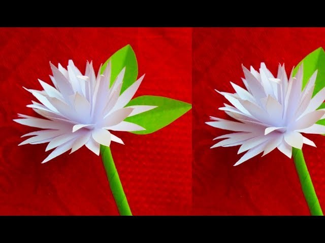 How to make paper flowers | Baily flowers| Paper Flowers Pro Diy