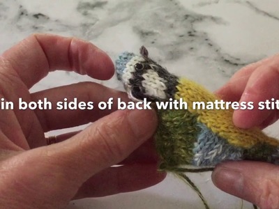 How to make up the Blue Tit