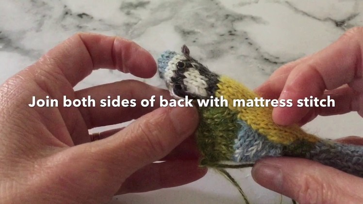 How to make up the Blue Tit