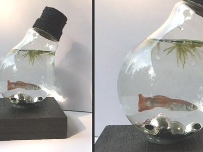 How to Build a mini aquarium use waste electric bulb | Home Decorative | Amazing crafts idea | DIY