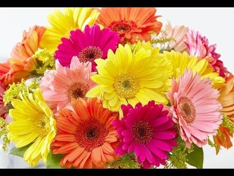 How to make Easy flowers - gerbera paper flower (Very Easy). Flores de papel. DIY Regalo para mamá