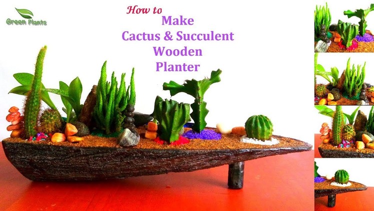 How to Make Modern Succulent & Cactus Planter | Make Cactus & Succulent Garden at Home.GREEN PLANTS
