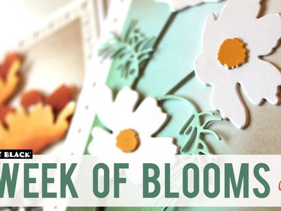 A Week of Blooms | Day 5 | Handmade Cards with Daisy Die Cut Set