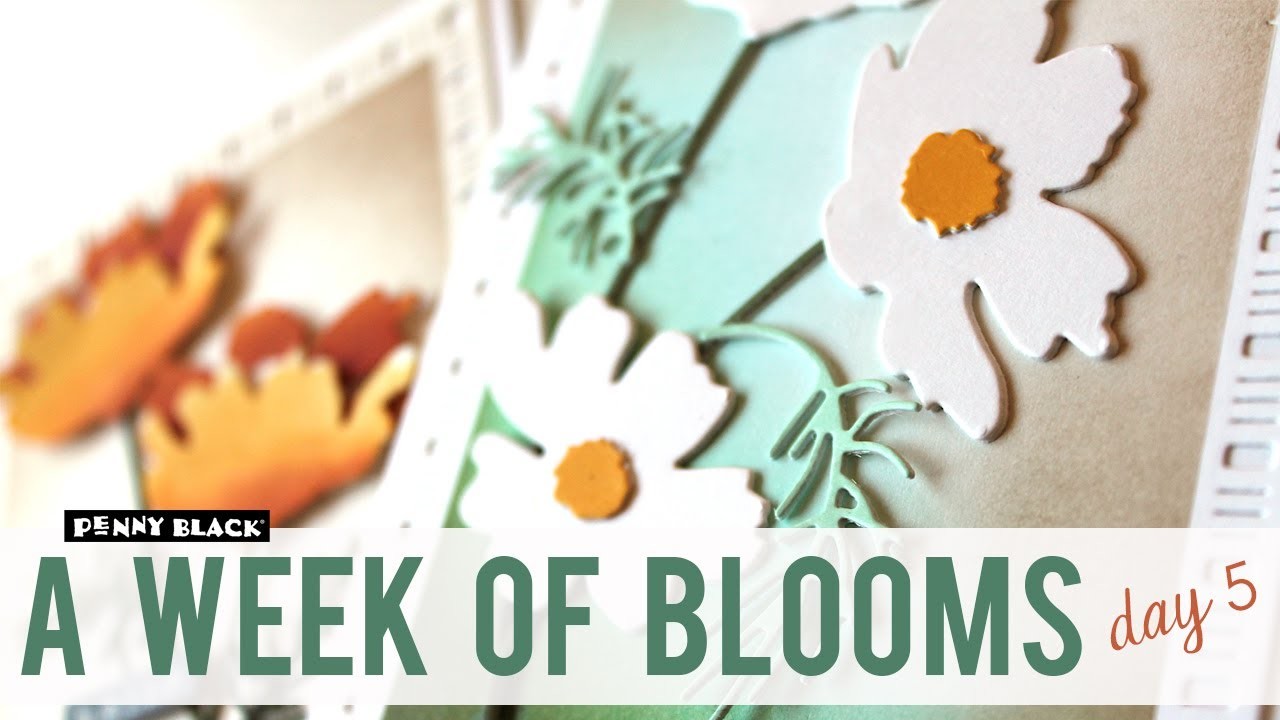 A Week of Blooms | Day 5 | Handmade Cards with Daisy Die Cut Set
