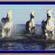 Camargue Horses Cross Stitch Pattern