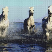 Camargue Horses Cross Stitch Pattern