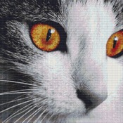 Cat Face Cross Stitch Pattern