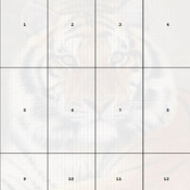 DMC DIY Siberian Tiger Cross Stitch Pattern***L@@K***Buyers Can Download Your Pattern As Soon As They Complete The Purchase
