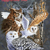 BIRDS Owls Of The World Cross Stitch Pattern***LOOK****Buyers Can Download Your Pattern As Soon As They Complete The Purchase