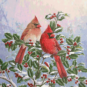 BIRDS Cardinal Pair Cross Stitch Pattern***LOOK***Buyers Can Download Your Pattern As Soon As They Complete The Purchase