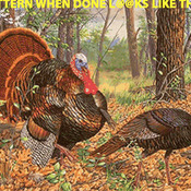 BIRDS Turkeys In The Woods Cross Stitch Pattern***L@@K***Buyers Can Download Your Pattern As Soon As They Complete The Purchase