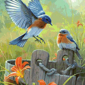 BIRDS Lillys & Blue Birds Cross Stitch Pattern***LOOK***Buyers Can Download Your Pattern As Soon As They Complete The Purchase
