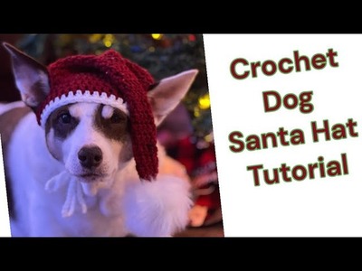 CROCHET TUTORIAL | Crochet Dog Santa Hat
